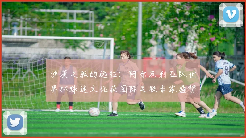 沙漠之狐的远征：阿尔及利亚队世界杯球迷文化获国际足联专家盛赞