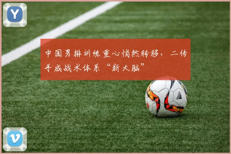中国男排训练重心悄然转移，二传手成战术体系“新大脑”